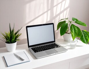Fototapeta premium Minimalistischer Arbeitsplatz mit Pflanzen
