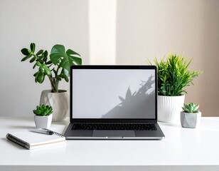 Fototapeta premium Minimalistischer Arbeitsplatz mit Pflanzen
