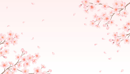 Cherry blossoms frame on pale pink background. Gentle spring sakura vector illustration.  © fromage