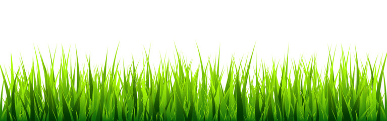 Naklejka premium Meadow silhouette with green grass, plants on plain. Panoramic summer lawn landscape with herbs, various weeds. Herbal border, frame element. Black horizontal banners. Vector illustration