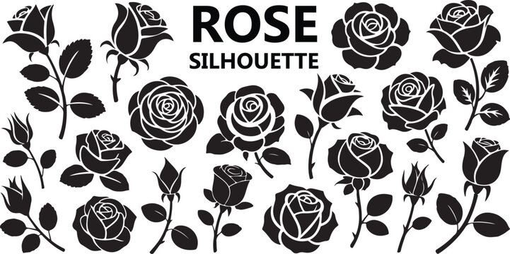 rose silhouette set black rose outlines isolated vector shapes