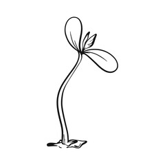 Elegant table lamp with curved design