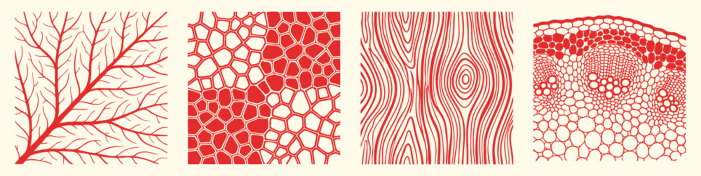 Natural textures set with hand drawn leaf veins, wood grain and cell structures in a red line art style. A vector illustration collection for backgrounds, science diagrams and organic patterns.