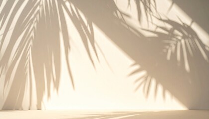 Soft sunlight casts dappled palm leaf shadows across a serene, sunlit wall © Burhan