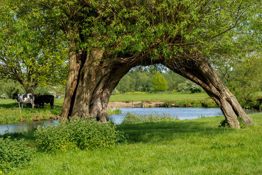 River Stour, Flatford, Suffolk, England