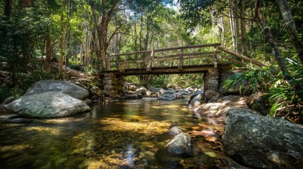 Obraz premium Wooden bridge spanning a clear stream in a lush forest.