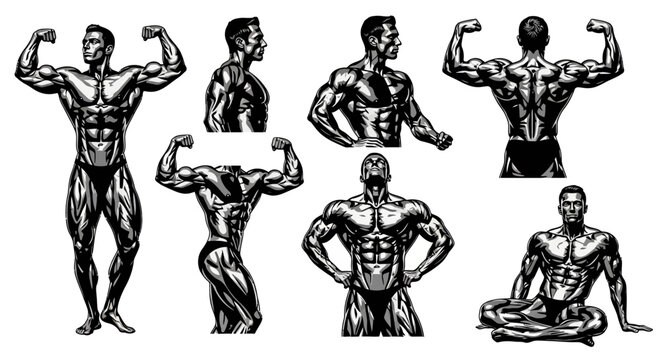 Illustrations of a muscular man showcasing various poses and flexing muscles from multiple angles