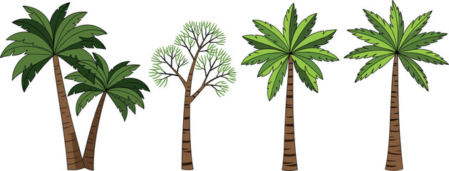Vector illustration set of four diverse tropical trees featuring double palm clusters unique branching foliage and tall island palms © Tofajjol