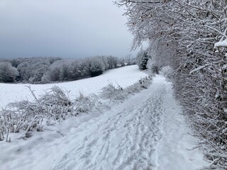Weg im Schnee zwischen Wiese und Wald  zur blauen Stunde im Bergischen Land