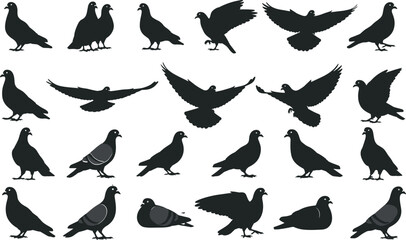 Black pigeon and dove silhouette icon set isolated on white background, flying and standing bird poses for wildlife design, symbols, and illustrations
