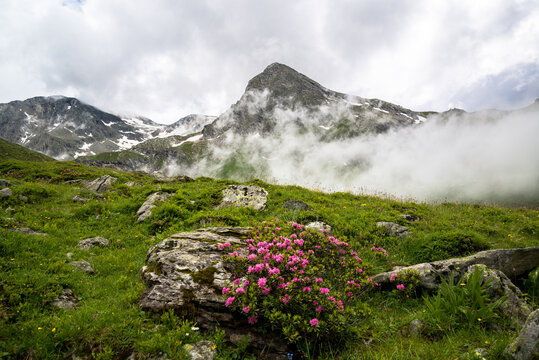 Cirque du Genepi, Vanoise, France