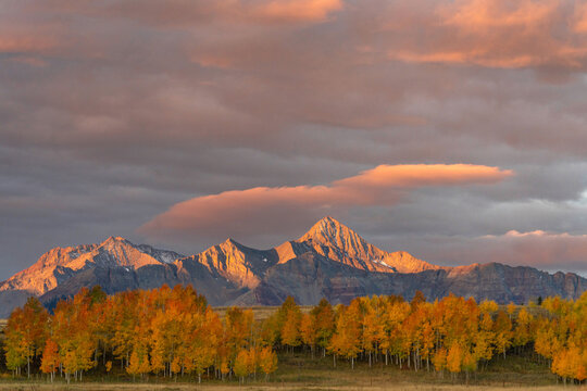 Wilson peak at sunset during peak fall Colors