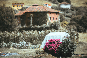 Fototapete bei efototapeten.de bestellen   