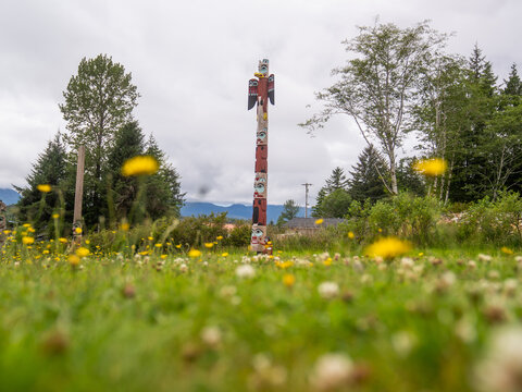 View of a towering totem pole stands sentinel amidst a field of wildflowers under a cloudy sky, a vibrant contrast of nature and culture, Ketchikan, Alaska, United States.