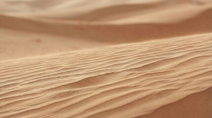 Textured Sand Dune Ripples Under Natural Light Warm Tones Desert Landscape