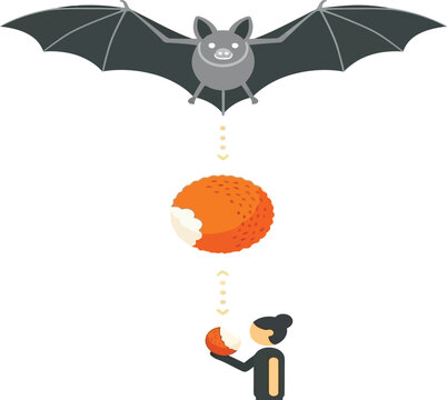 Bat dropping lychee fruit to a person