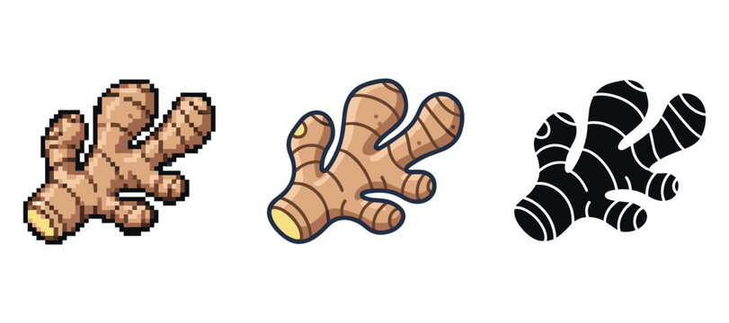 Pixel, cartoony, and silhouette ginger root variations in different styles