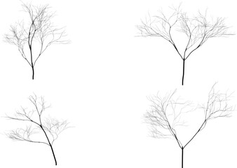 Obraz premium Set of 4 bare tree branches vector illustrations