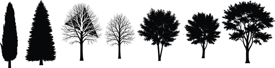 Obraz premium Silhouettes of Diverse Tree Types in Row – Seasonal Foliage Variation and Morphology Displayed in Black and White Minimalist Nature Illustration for Botanical Concepts