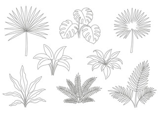 Gray line drawings of various tropical plant silhouettes against a white background © Titi