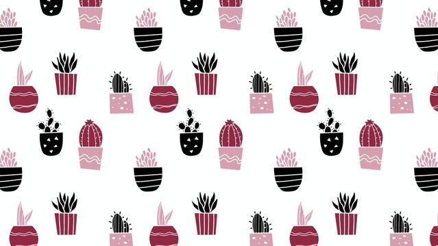 cute cactus and succulent plants in decorative pots pattern wrapping design