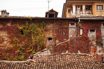 Historic rooftops and weathered brick facades covered in vibrant red and green autumn ivy in the Navigli district of Milan.