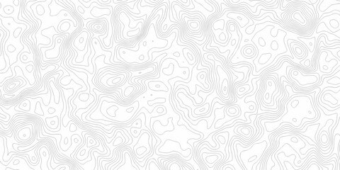 Fototapeta premium Minimal white line geometric grid outline curve counter map and wavy topography relief discovery area white, black line texture background.