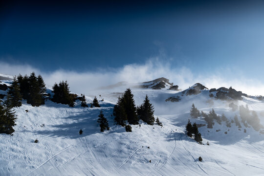 View of sun-drenched snow blankets the mountainscape, with dark evergreens punctuating the bright expanse under a clear blue sky, Val-d Illiez, Valais, Switzerland.