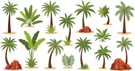 Fototapeta premium Large collection of tropical palm tree and exotic plant illustrations with banana trees and desert rocks for summer travel and nature design vector set