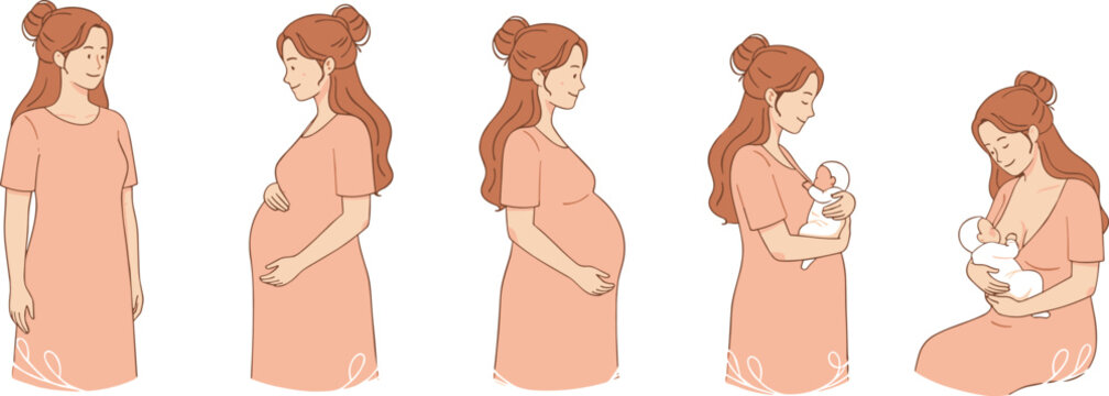  Pregnancy Stages Icon Set with Woman Progression from Early to Late Belly Growth, Childbirth Holding Newborn and Breastfeeding Mother for Maternity Health Illustrations