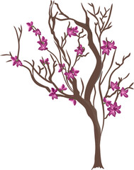 Obraz premium magnolia