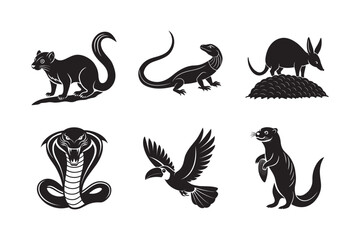Rare Tropical Jungle Wildlife Silhouette Collection