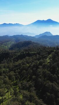 Vertical drone footage flying above dense forest with Arjuno Welirang mountains ahead; covered by thin mist and framed by a bright blue sky. Ideal for travel; nature; and cinematic visuals.
