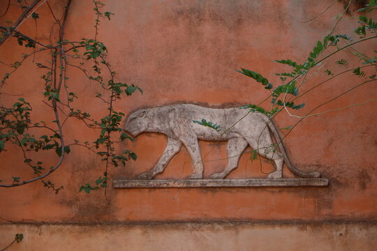 A stone bas-relief of a walking panther or lion on an ancient terracotta-colored wall framed by green vines