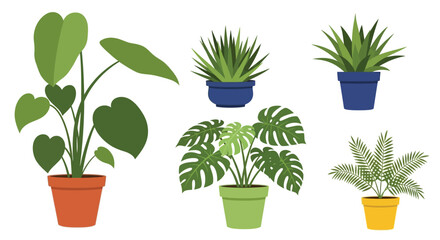 A collection of various potted indoor plants with different leaf shapes © Anita