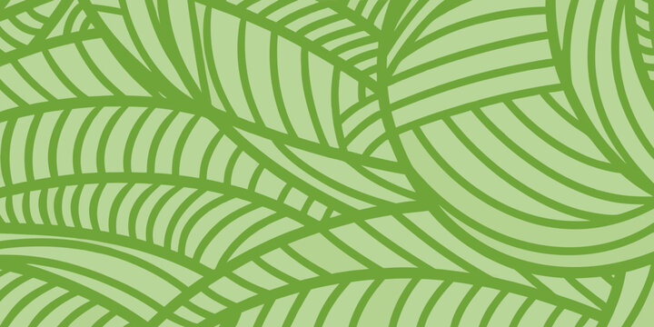 Abstract green background with flowing curved lines resembling leaves or grass