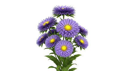 Bouquet of Purple Asters