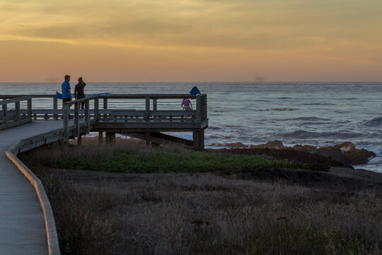 View of a wooden path leading to a platform where people gather to watch the waves crash against the rocky shore at sunset, Fort Bragg, California, United States.