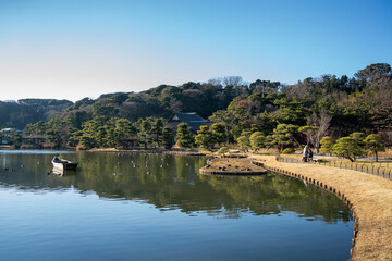Fototapeta premium Traditional Japanese Garden with Pond and Pine Trees in Yokohama