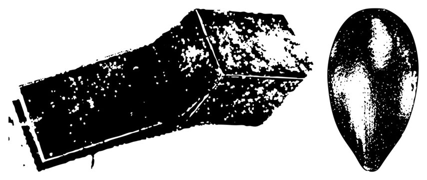 Ancient Stone Head and Flaked Stone Tool Artifacts