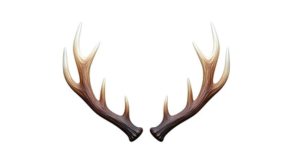 Deer Antlers on White Background
