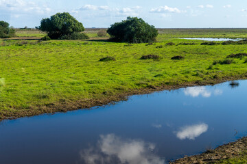 Landscape of the Donana National Park in Spain. Coastal area in southern Spain. Huelva, Andalusia, Spain.