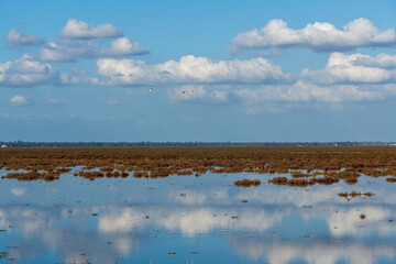 Landscape of the Donana National Park in Spain. Coastal area in southern Spain. Huelva, Andalusia, Spain.