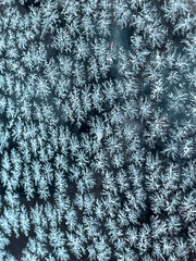 Frost pattern on glass in extreme cold weather. Close-up view of ice crystals forming a natural winter texture. Abstract frozen surface, seasonal background.