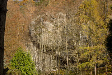 Autumn landscape. Golden Autumn in the woods. Picturesque rock in the autumn forest