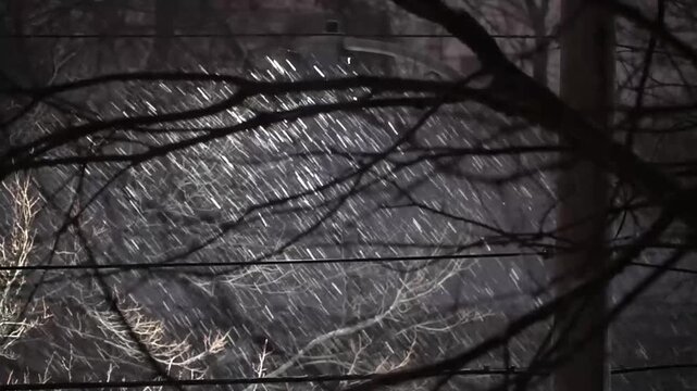 Heavy snow falling through tree branches during a major winter blizzard at night