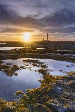 View of a dramatic sunset casting golden rays across tide pools reflecting the sky, with a distant lighthouse standing tall against the horizon, La Oliva, Canary Islands, Spain.