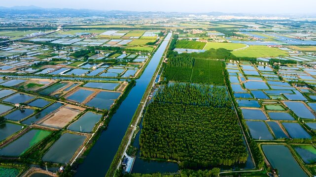 Aerial Rural Farmland with Irrigation Canals and Forest Reserve