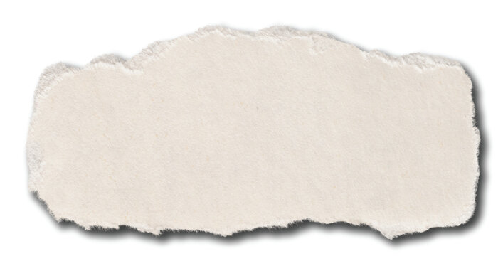Torn white paper scrap with drop shadow 