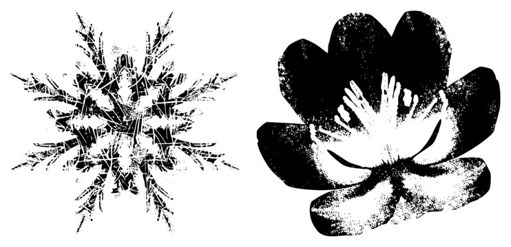Intricate Snowflake and Lotus Flower Vector Silhouettes with Textured Halftone